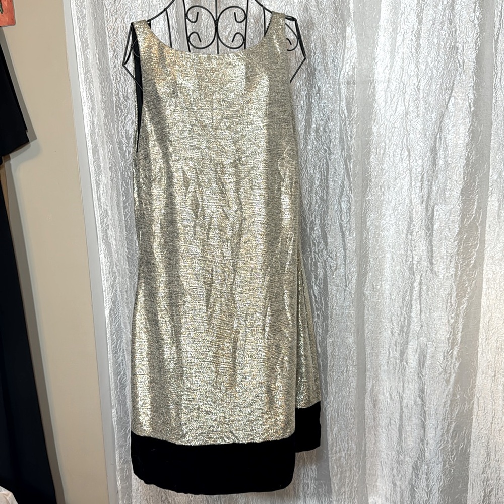 WHBM shimmer/velvet dress